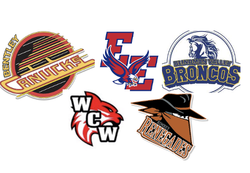 Blindman Valley Minor Hockey Association